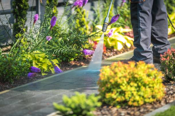  Vineland, NJ Pressure Washing Pros