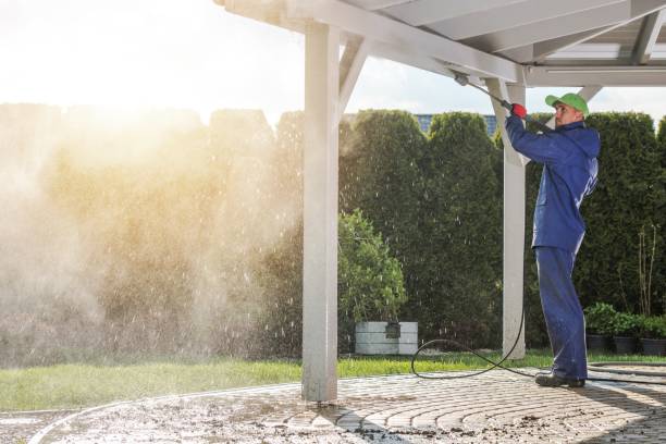 Best Soft Washing  in Vineland, NJ